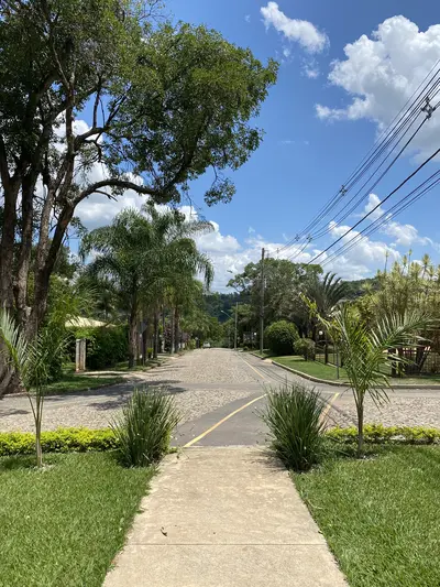 Avenida principal do condomínio com palmeiras e paralelepípedo