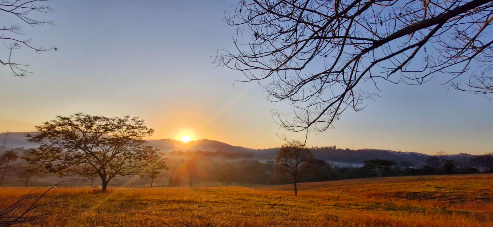 Paisagem com colinas verdes e natureza exuberante