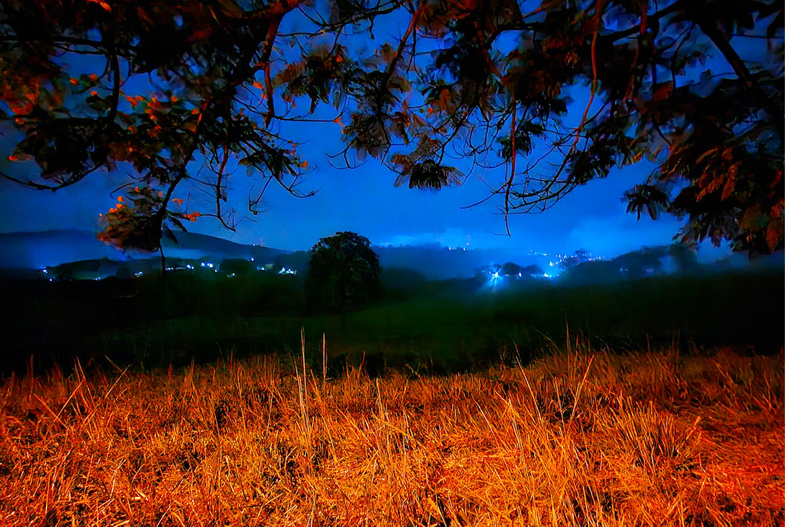 Paisagem noturna com neblina azul e vegetação iluminada